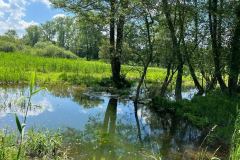 IMG-20220628-WA0002