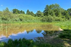 IMG-20220628-WA0004