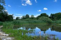 IMG-20220628-WA0008