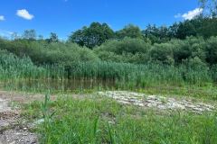 IMG-20220628-WA0010