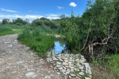 IMG-20220628-WA0011